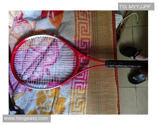 吴丽独家分享网球心得与技巧助你提升球技的完美指南